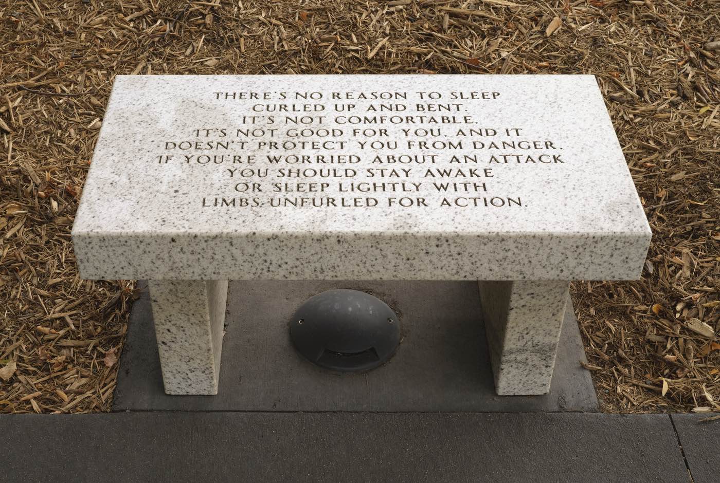 “There’s no reason to sleep curled up and bent. It’s not comfortable, it’s not good for you, and it doesn’t protect you from danger. If you’re worried about an attack, you should stay awake or sleep lightly with limbs unfurled for action.” Artwork by Jenny Holzer.